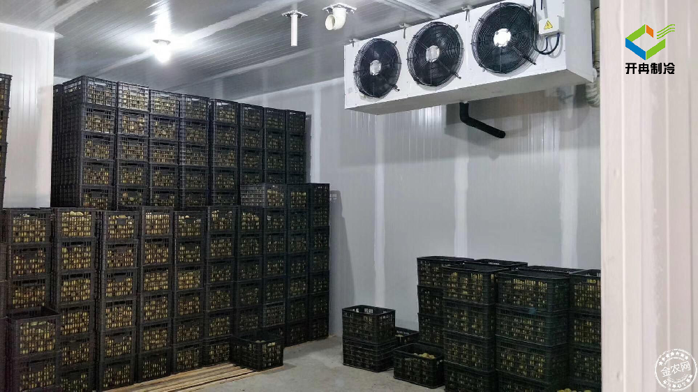 建造一個100噸的水果保鮮冷庫多少錢？