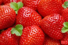 蔬菜水果食品保鮮冷庫安裝還是要找專業(yè)的公司來完成