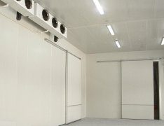 竹筍氣調(diào)庫(kù)預(yù)算成本是多少？竹筍的保存方法